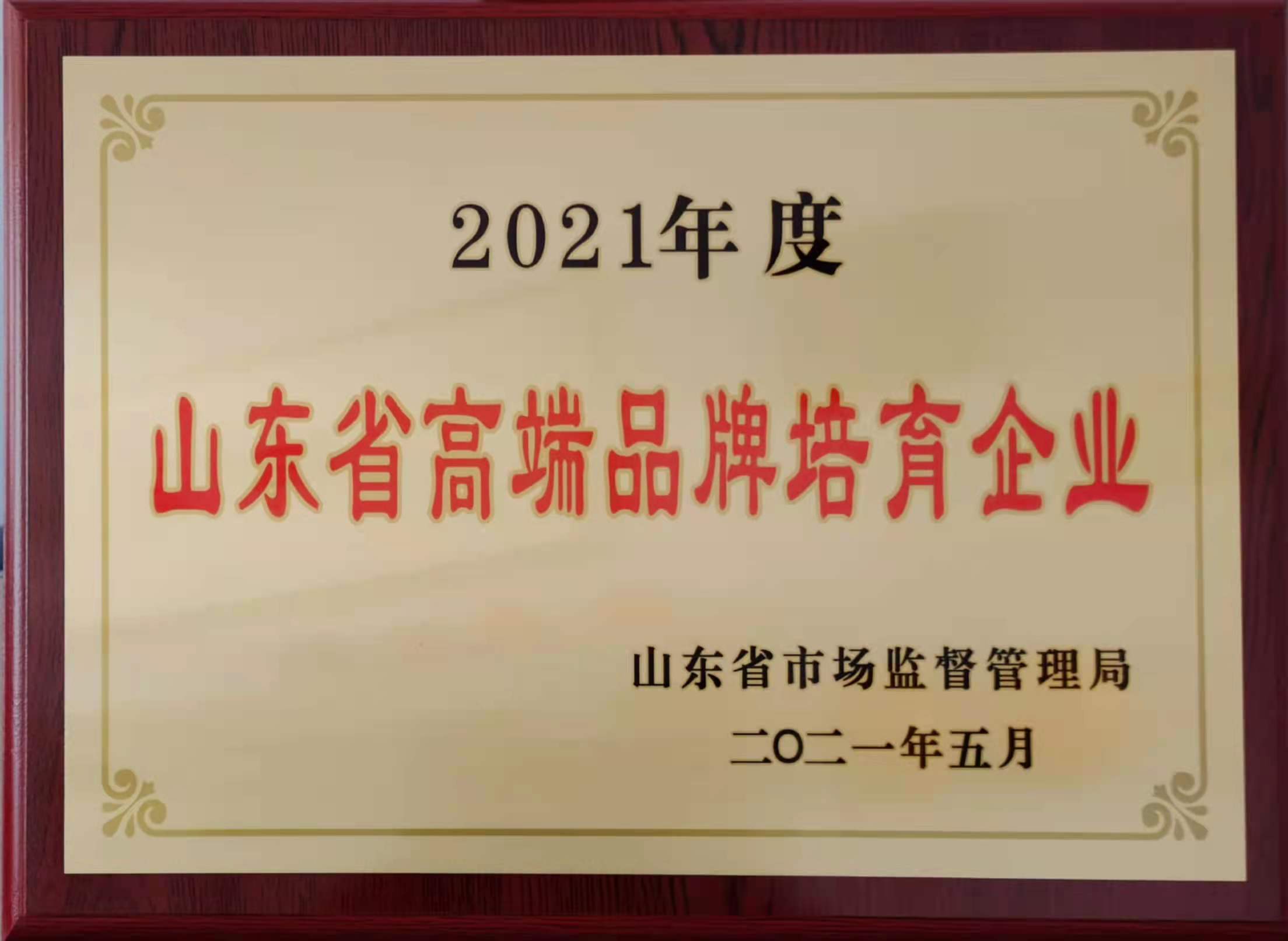 草莓视频下载大全最新颜料山东省高端品牌培育企业