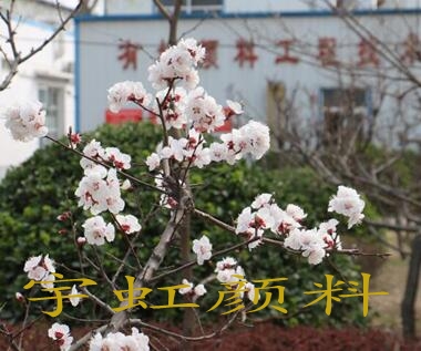 颜料厂家3 颜料厂家3