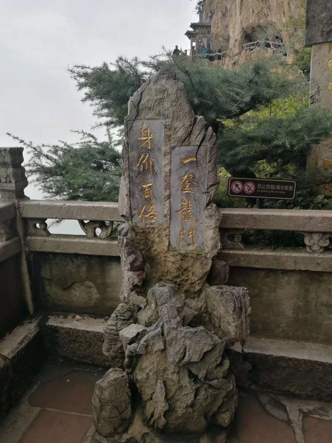 陈总1 陈总1