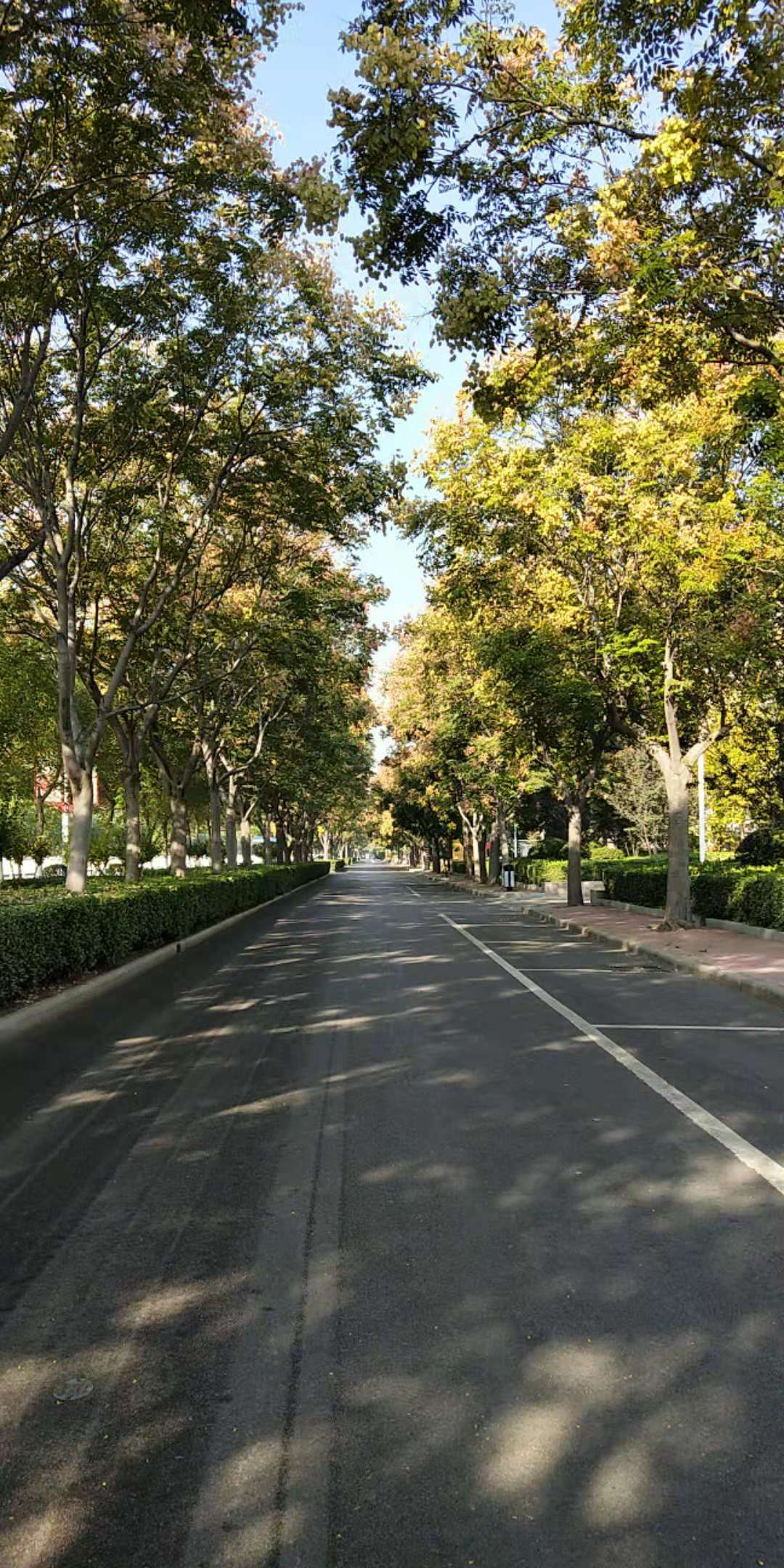 微信图片_20181006134536 微信图片_20181006134536