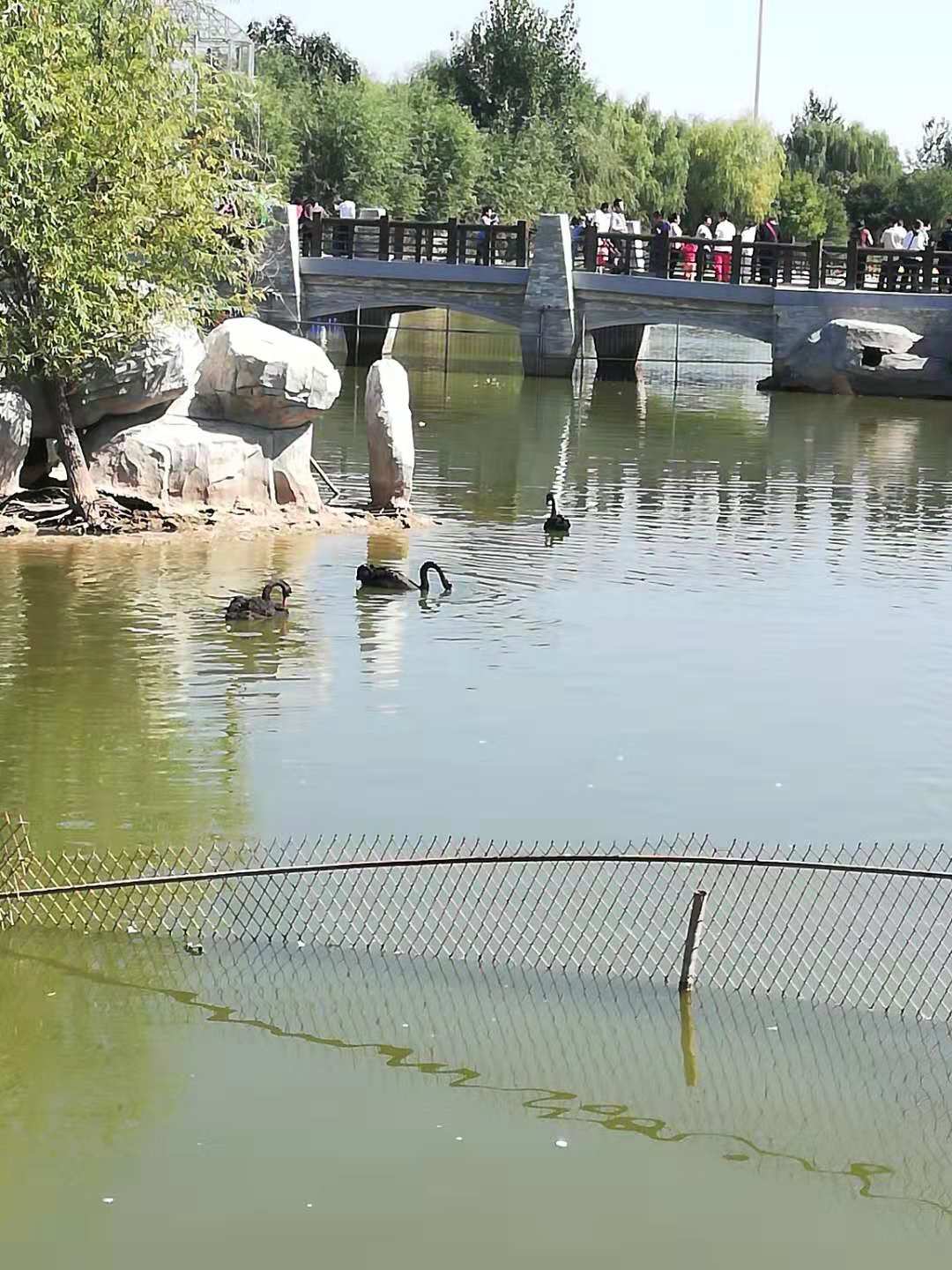 孙文娜动植物园 孙文娜动植物园