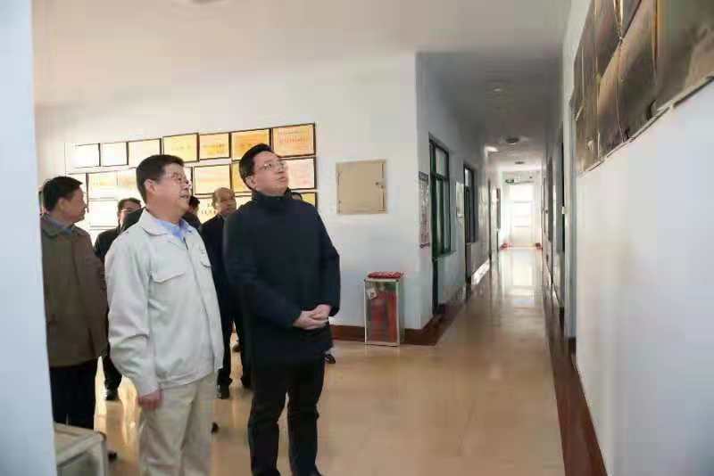 陈飞市长莅临山东草莓视频下载大全最新参观调研